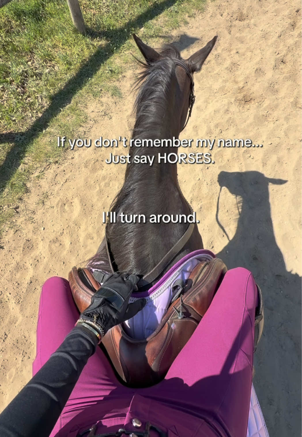 @Free Ride Equestrian