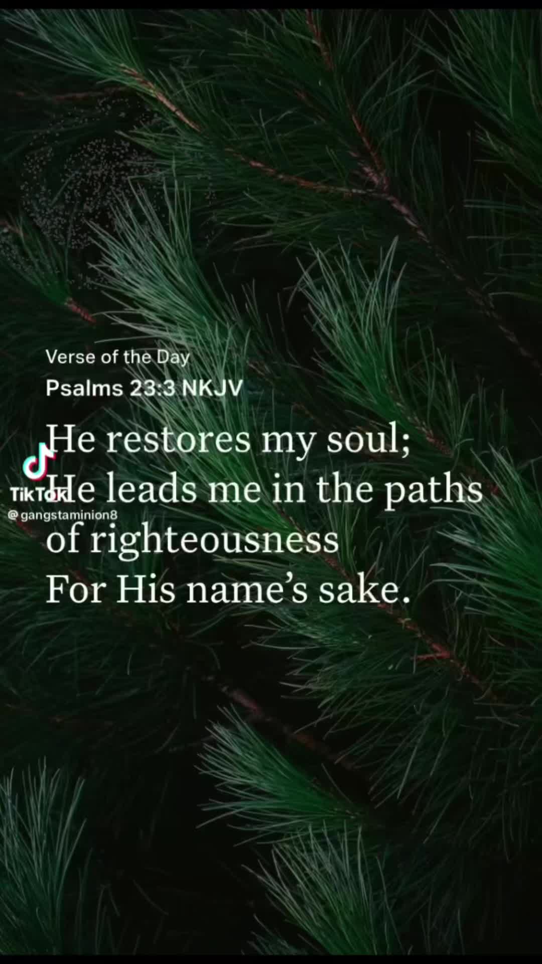 @2ThugTRIPPNJESUSLORD GOD #1st