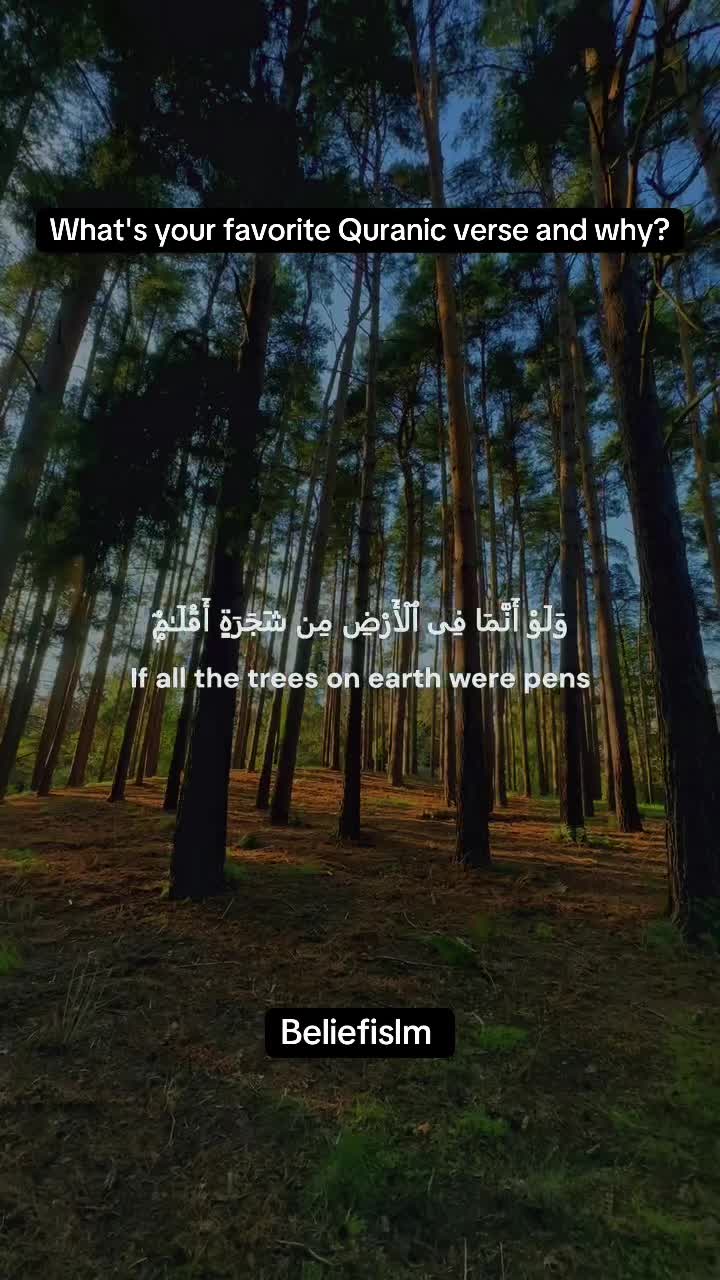 @beliefislm
