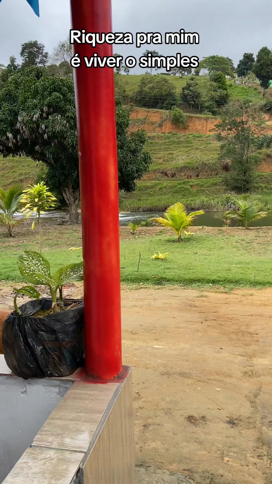@Roça 🤠🌱