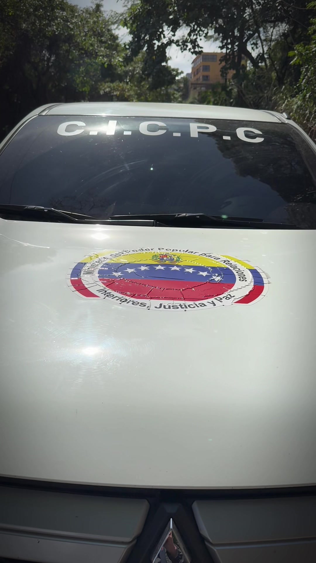 @Román Camacho