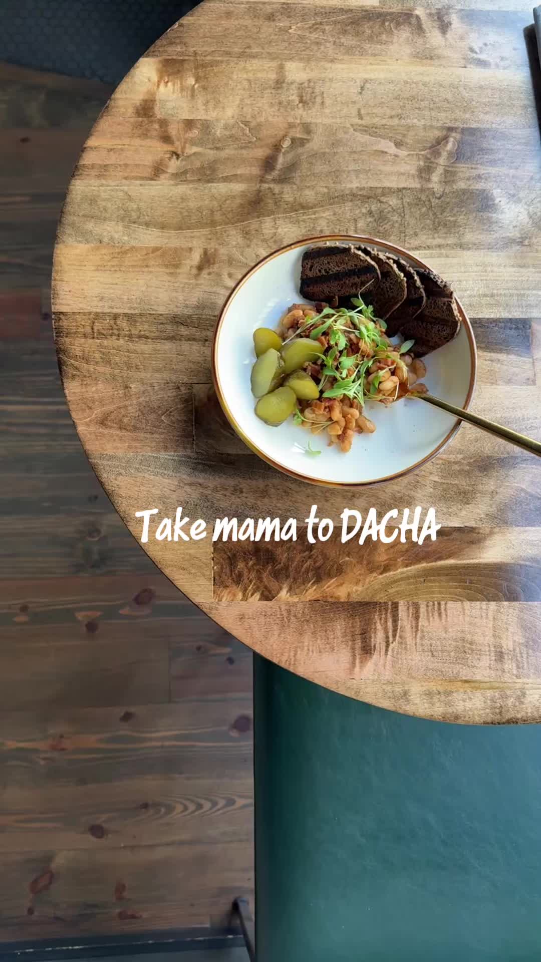 @dachaprojects