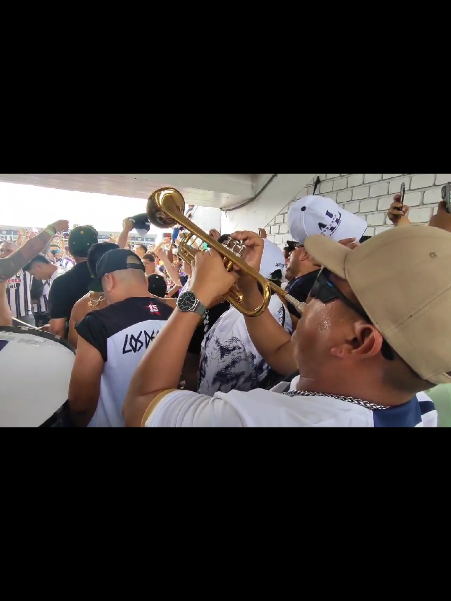 @GustavoTrumpet💙