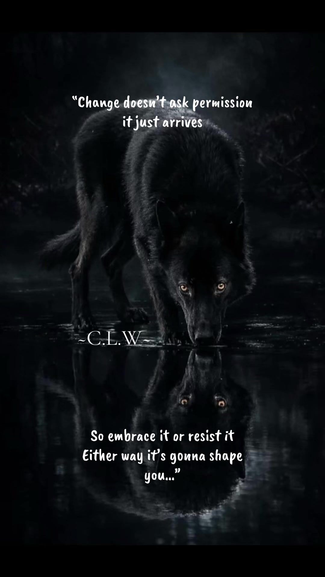@🪬Conscious_LoneWolf🐺