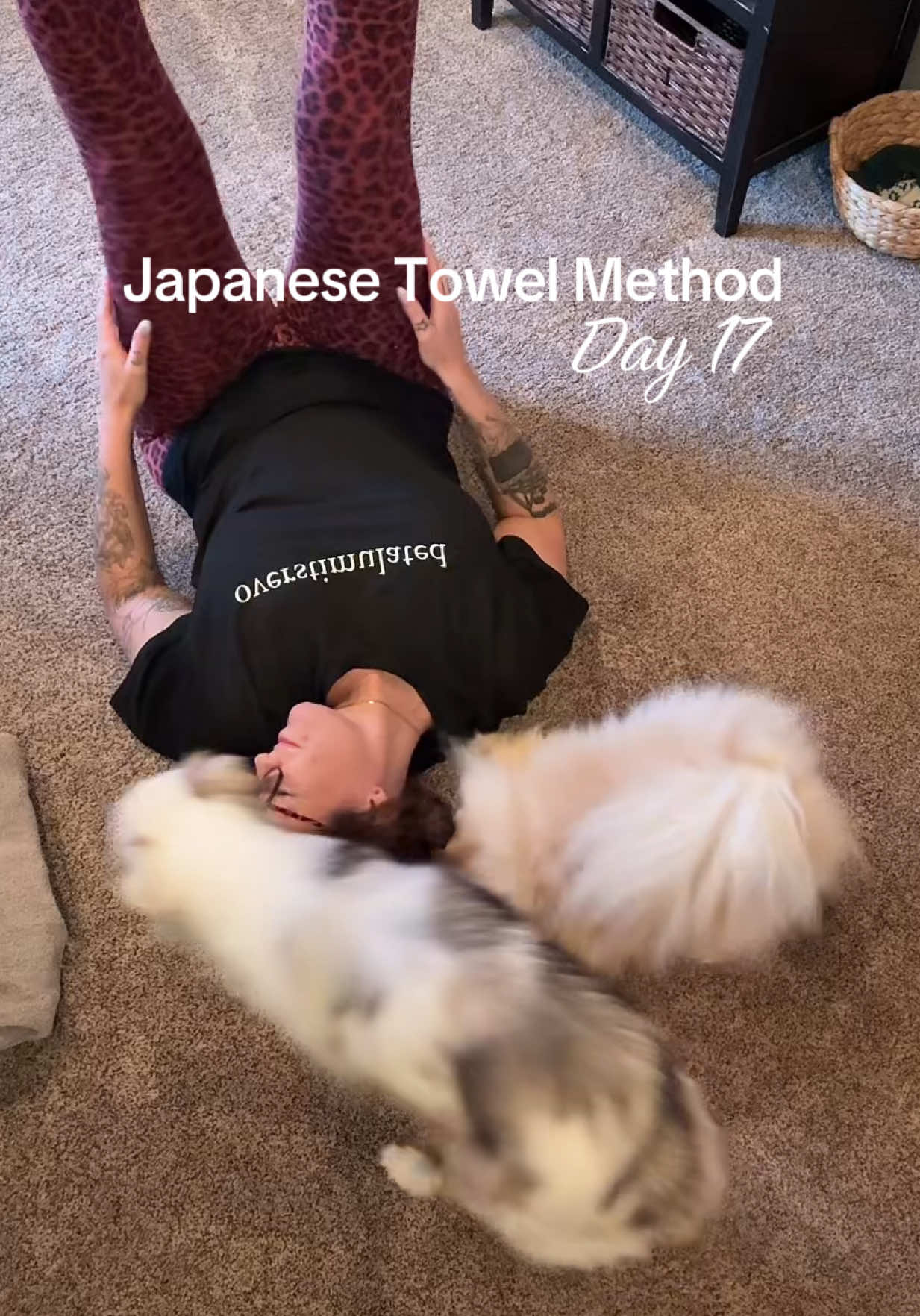 @hausofgesicat
