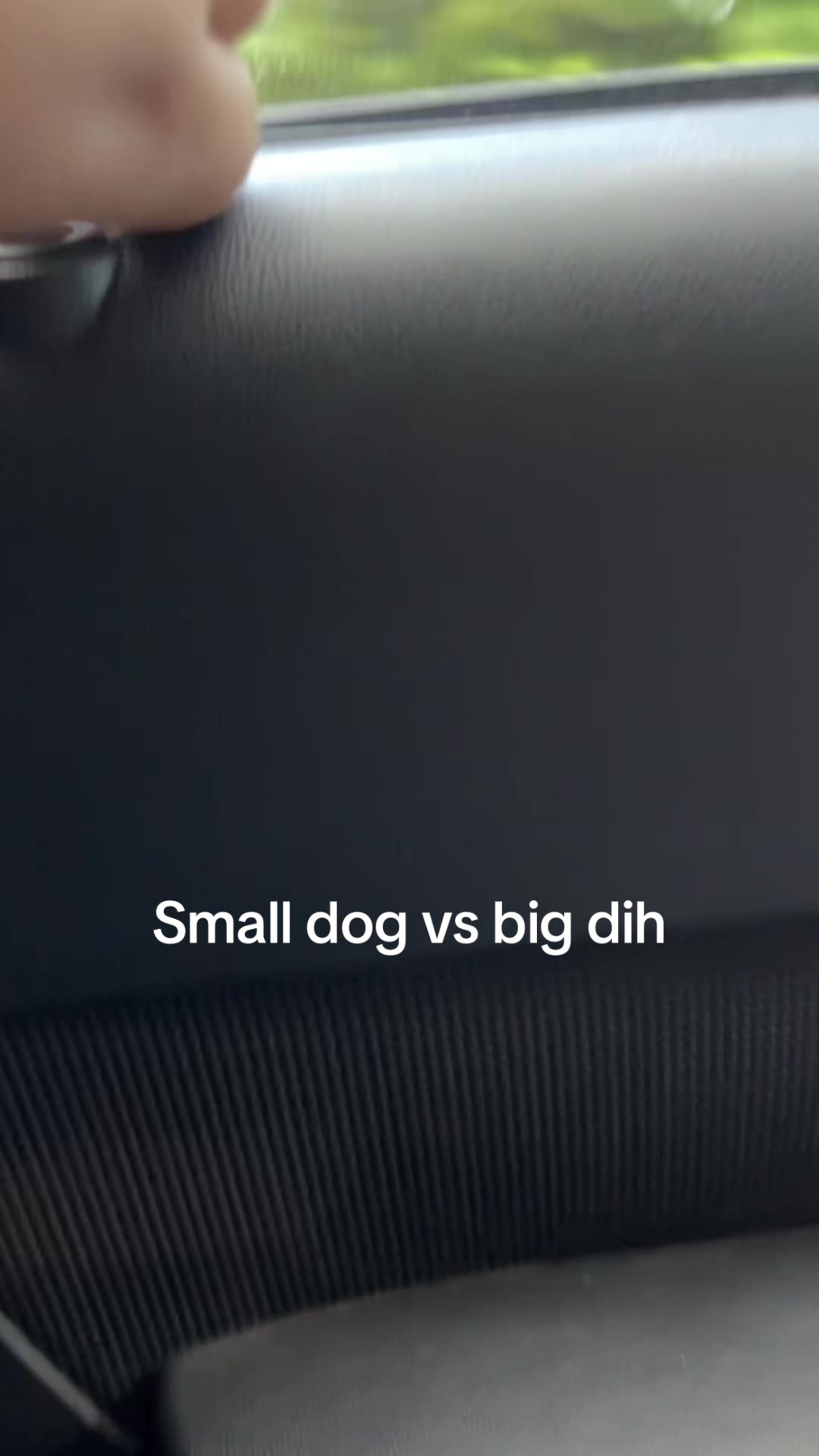 @gamer