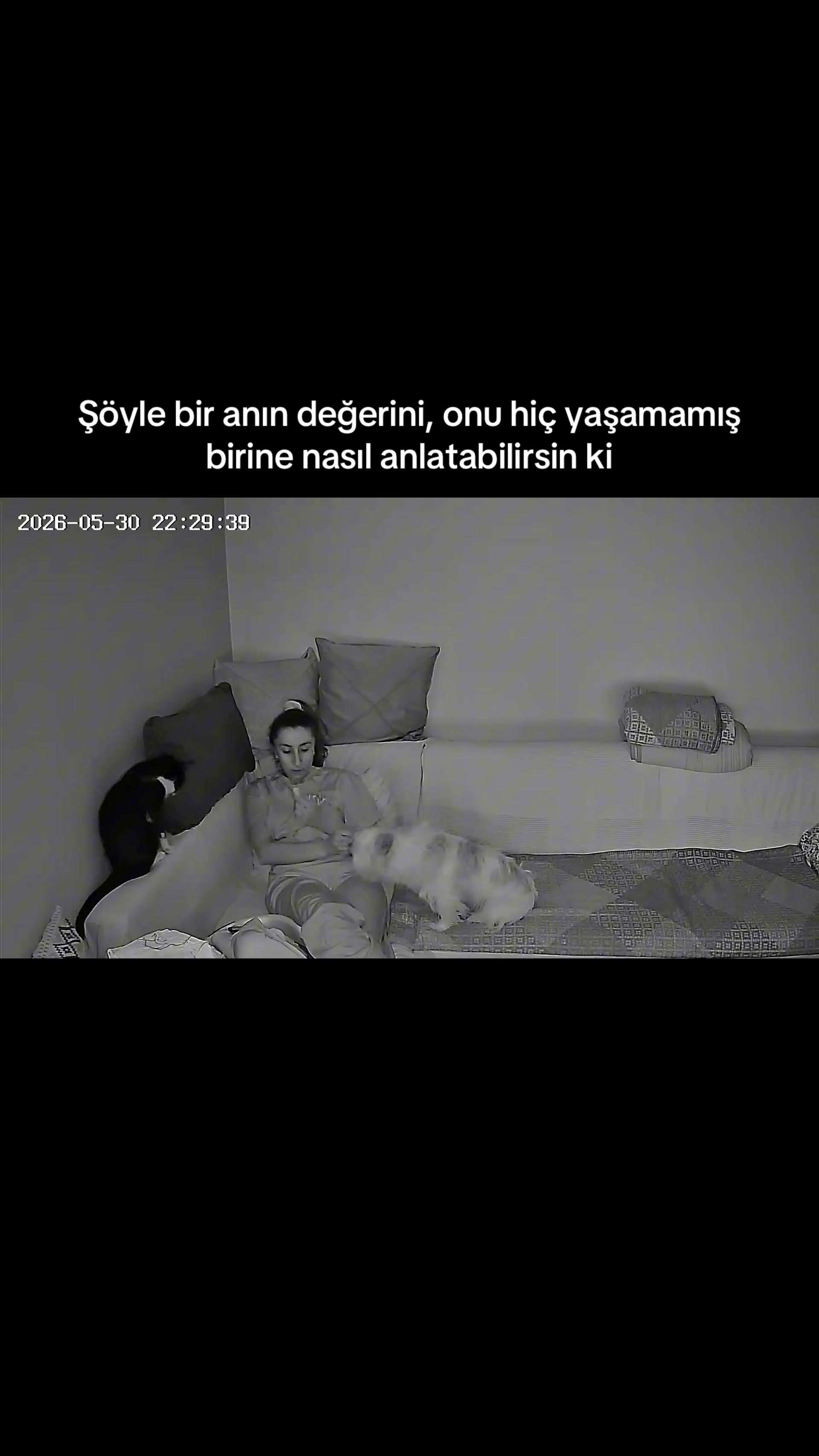 @sezenakcarlii