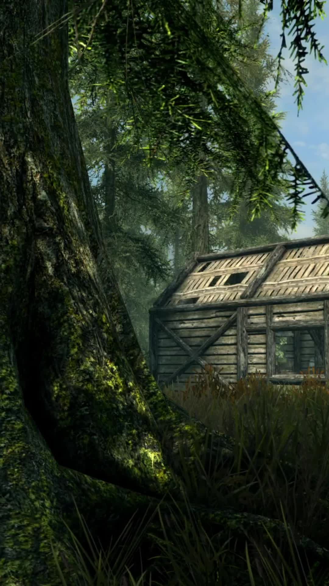 @Skyrim_ASMR