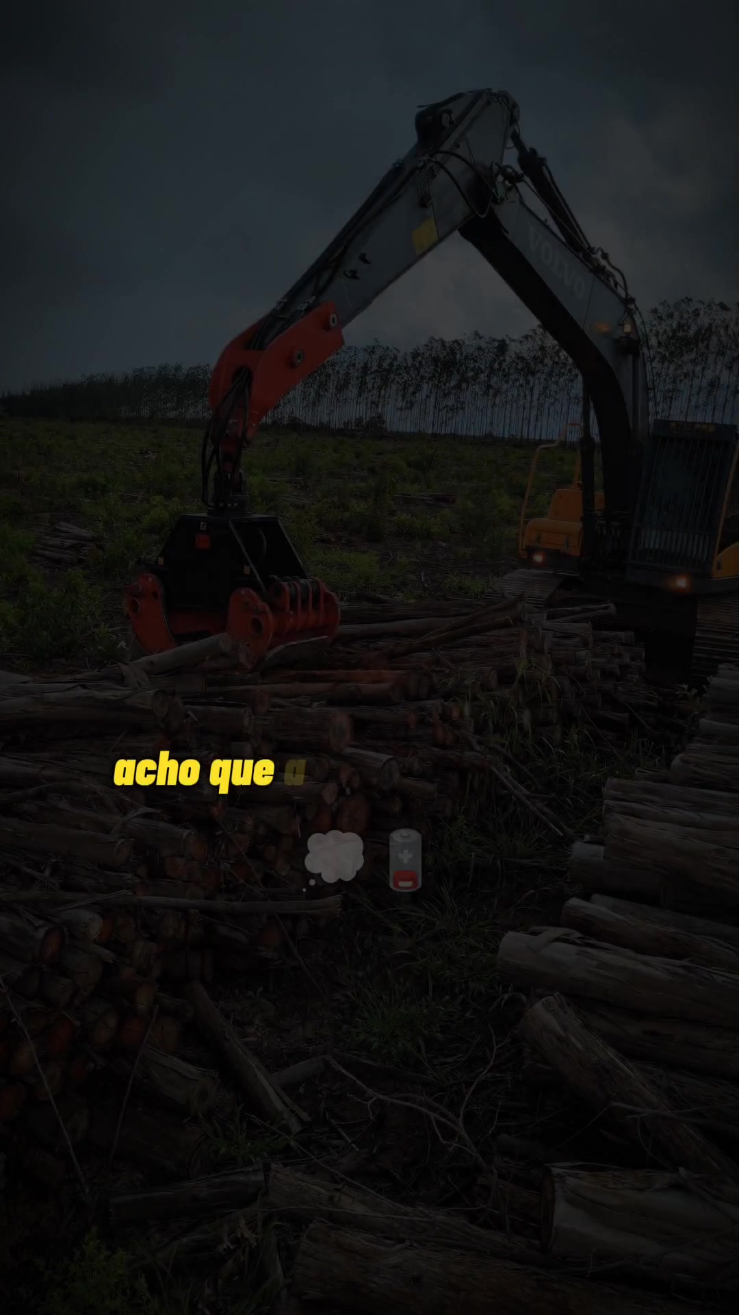 @Thales Almeida 🦾🌲