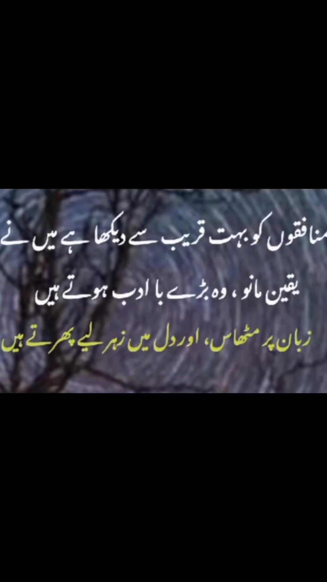 @MIRZA Sumair Baig PML N