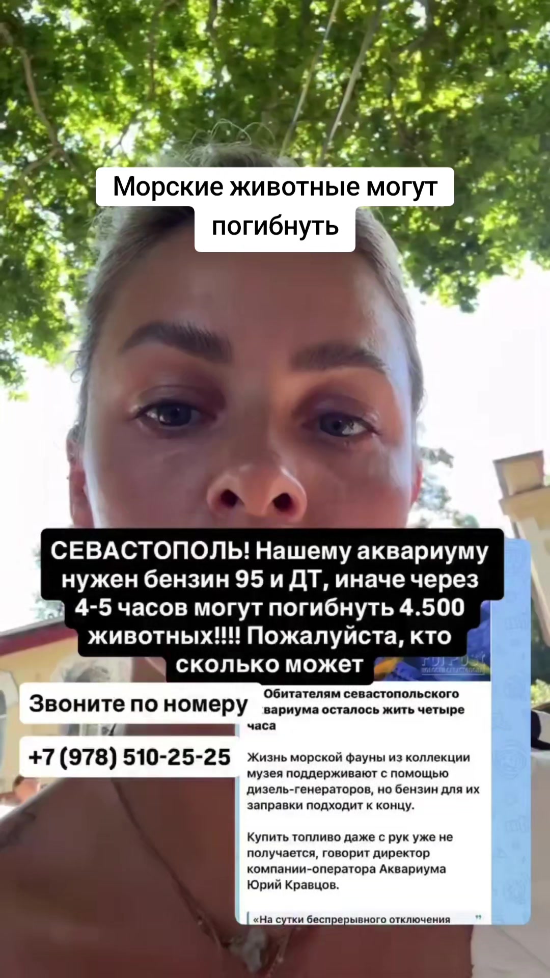 @irina_d_62