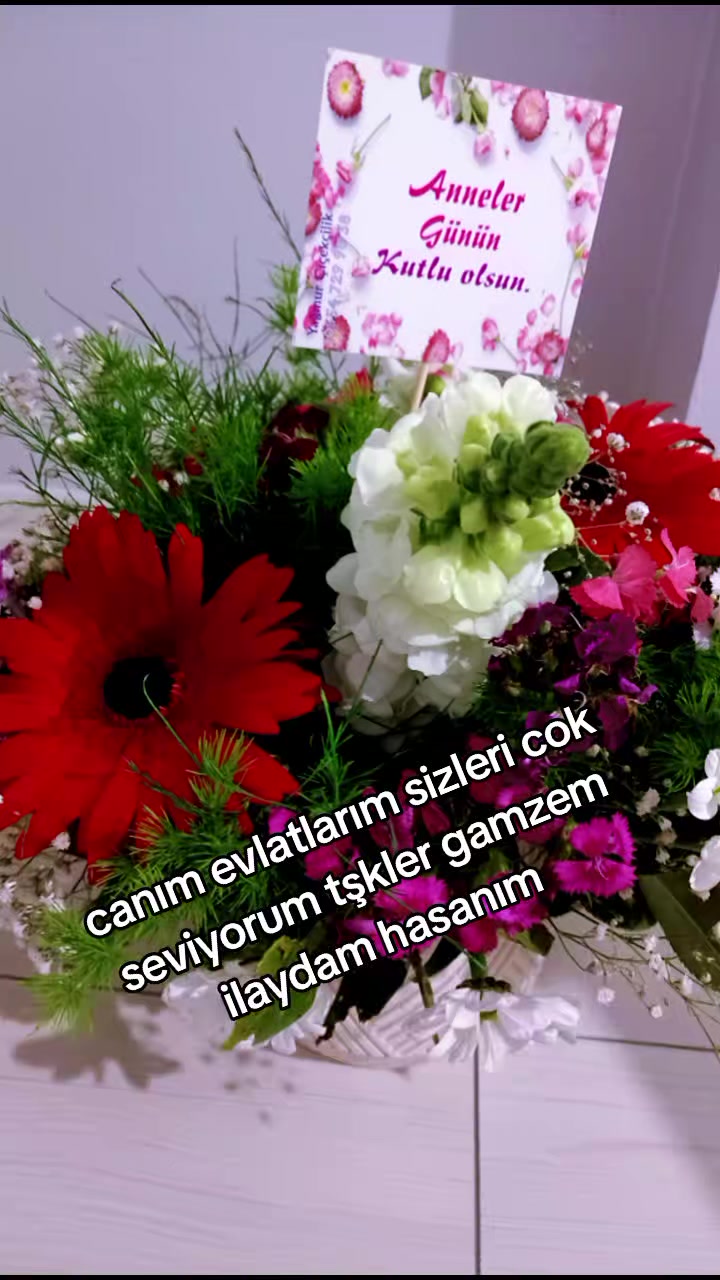 @KARACA AKREP 🦂💜