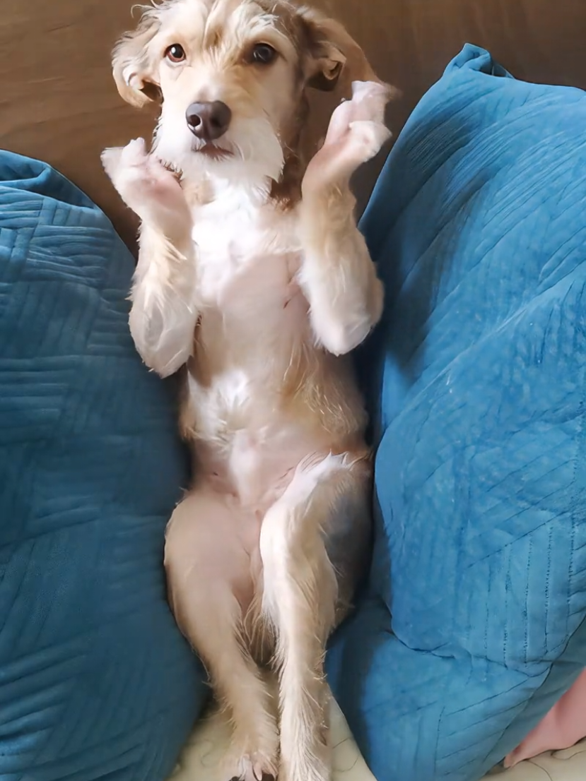 @Rufus007