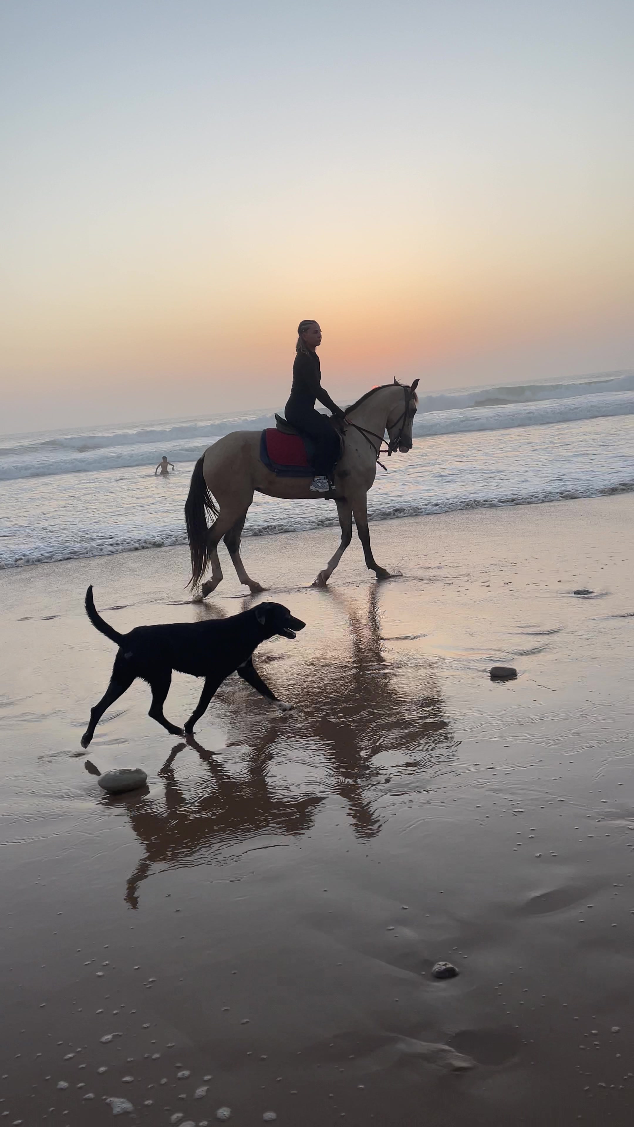 @Cheval_agadir