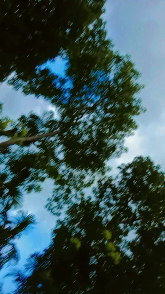 @Joyeta kundu.