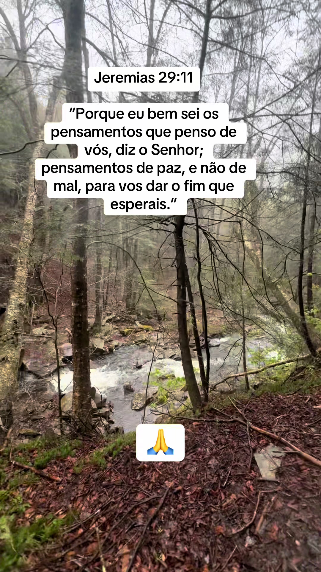 @Gracilda