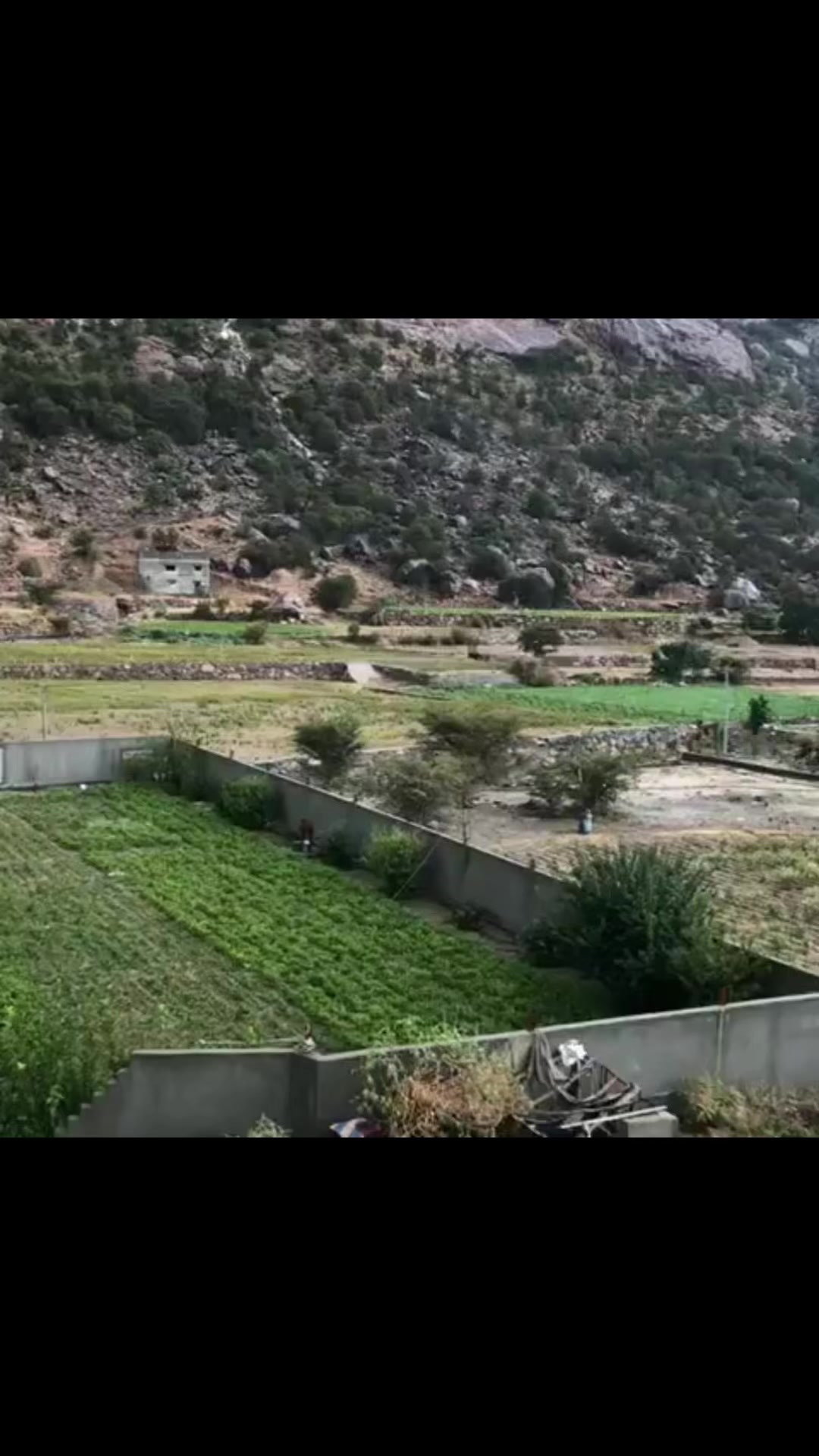 @rx.5.0.7