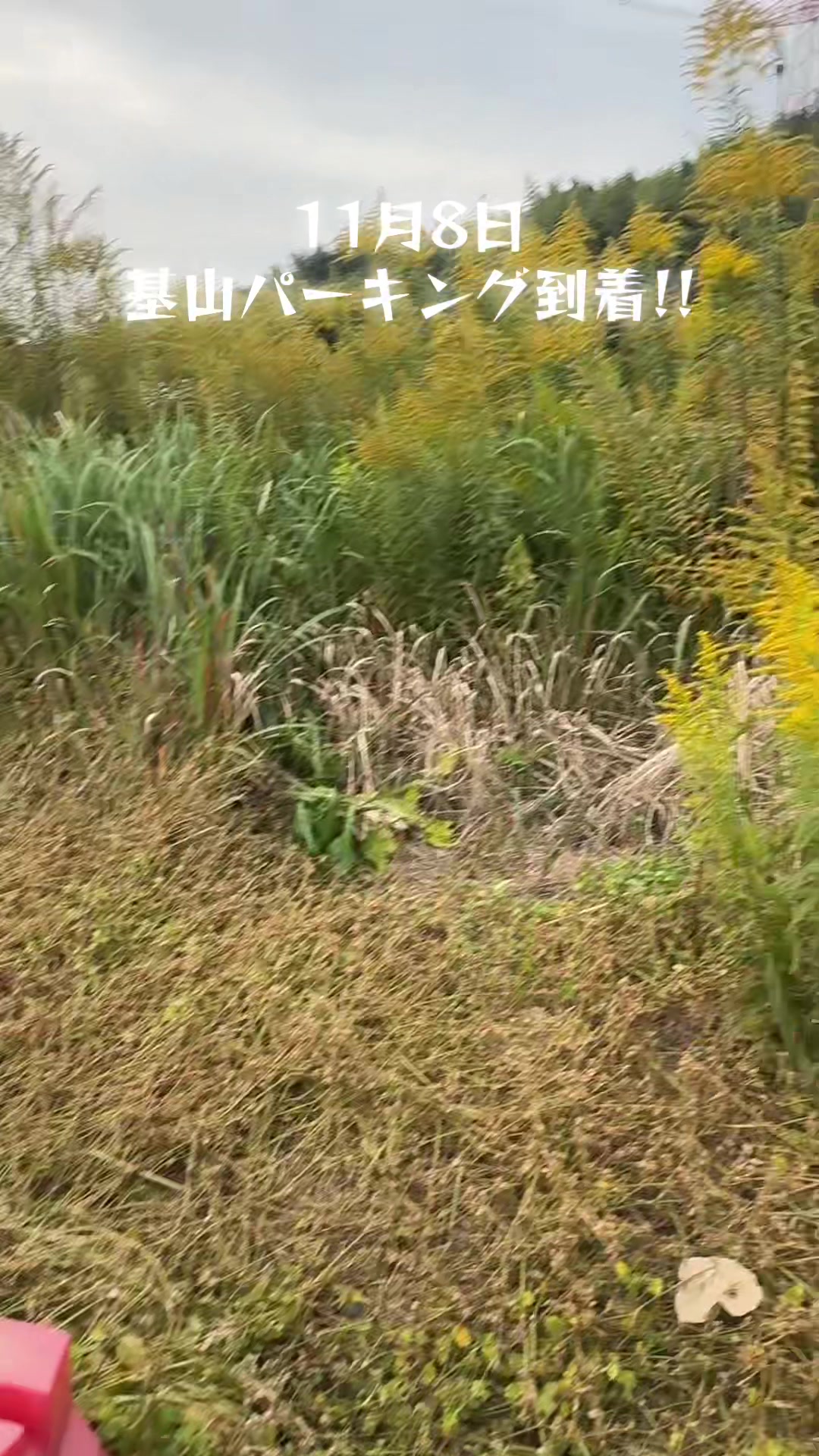 @👽🐼カッチン🚚🐵👃