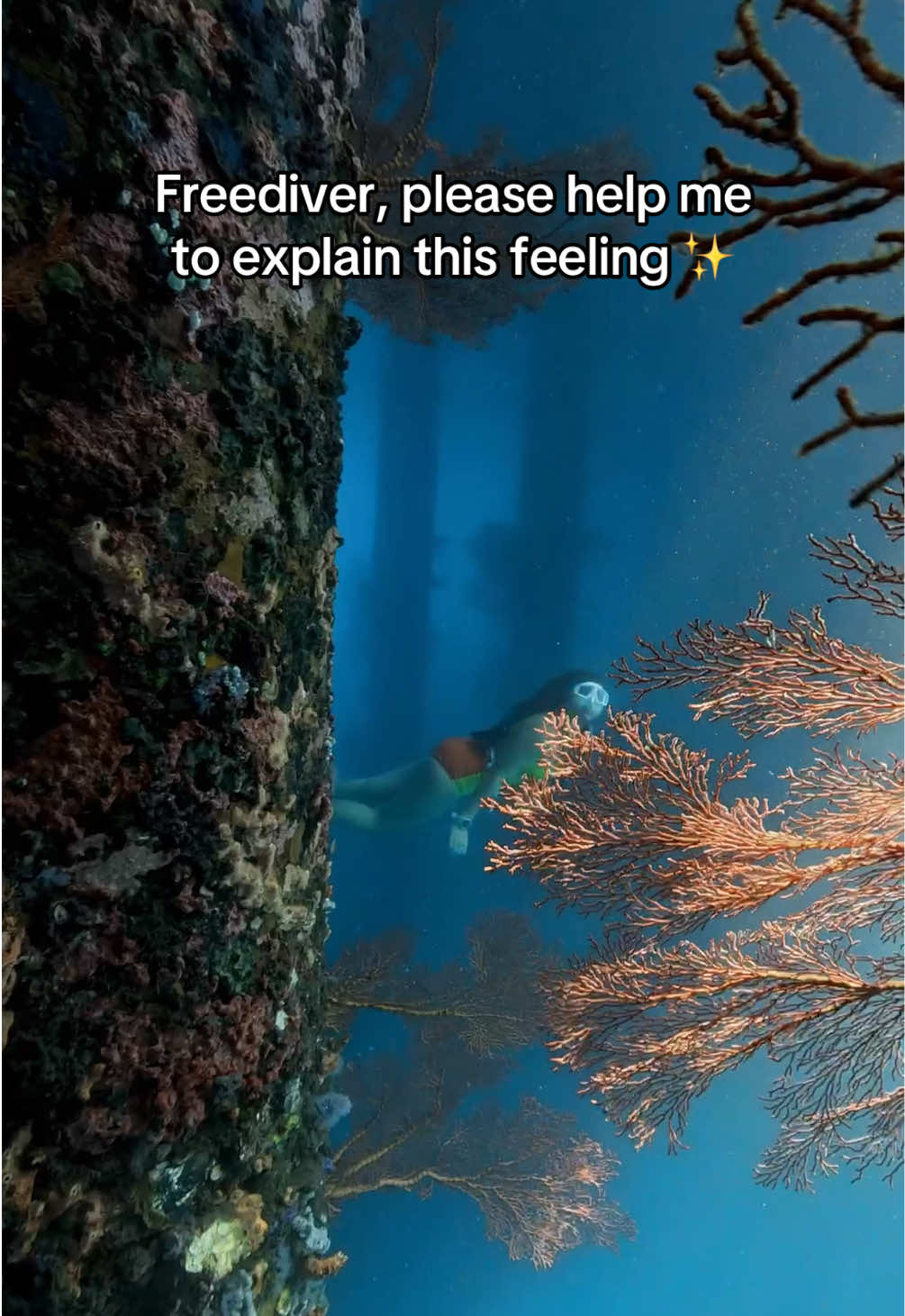 @Yuki | Diving & Traveling