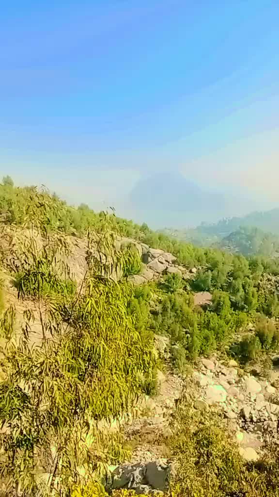 @zafarali 1243