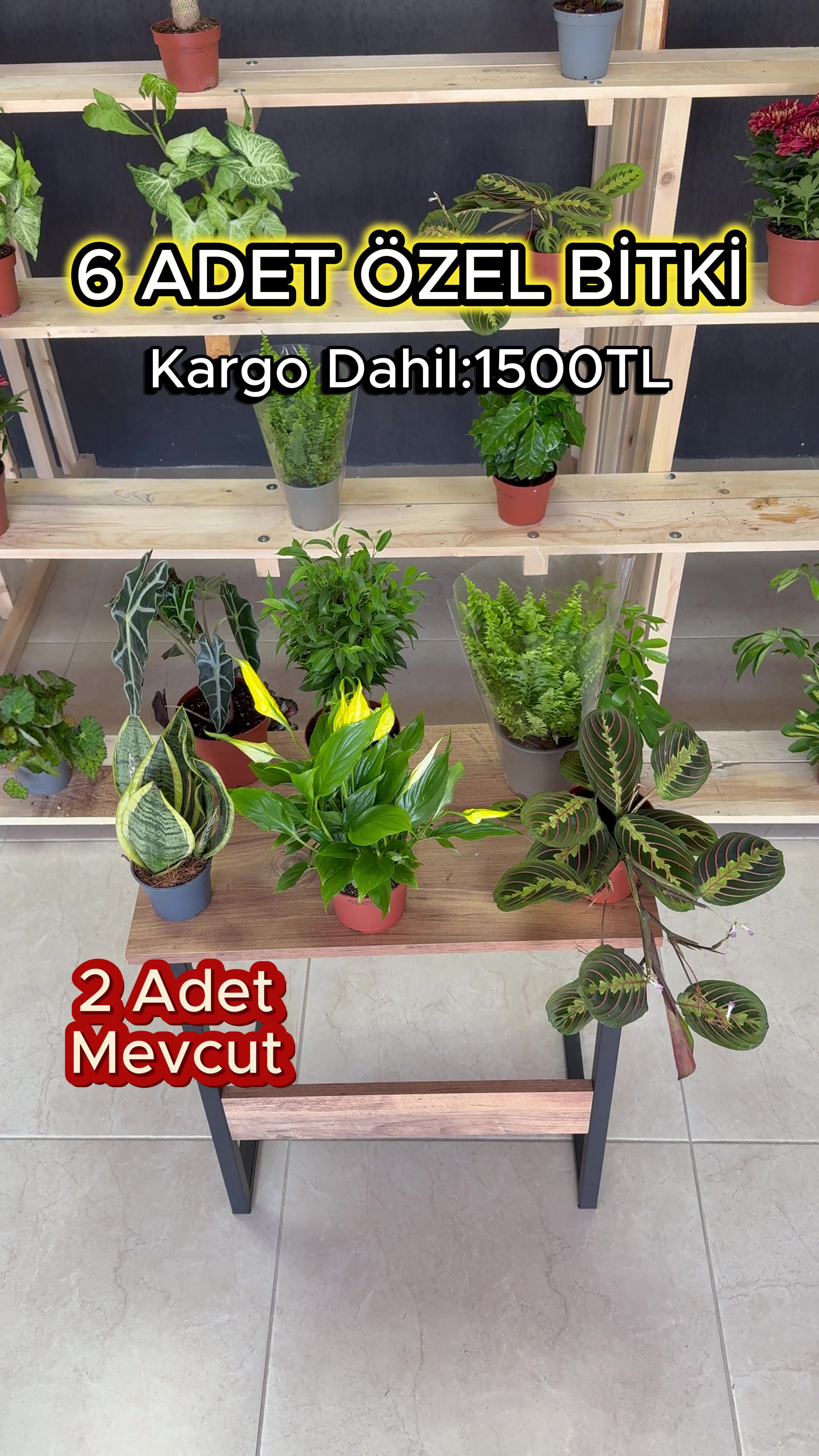 @Saklı bah&ccedil;e Bitkileri
