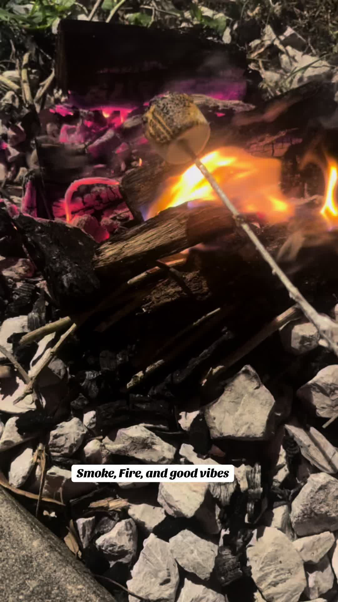 @bellocandoanything