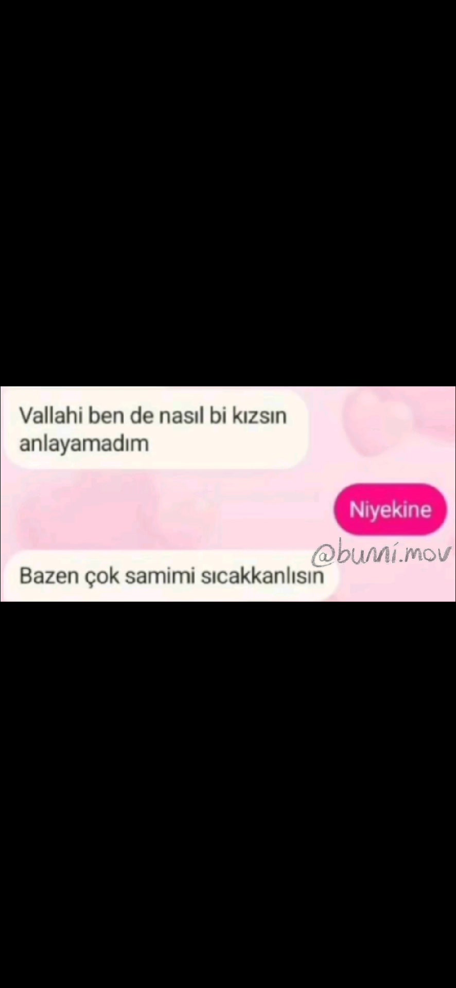 @bunni.mov