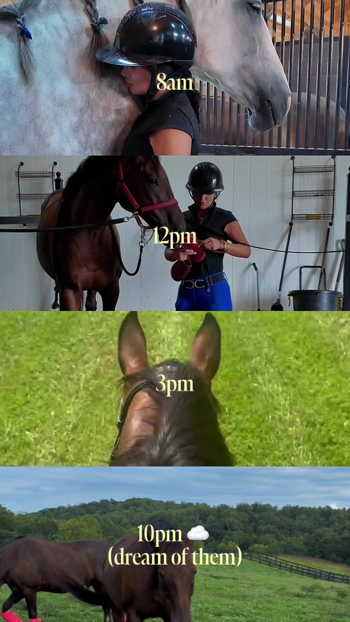 @Sync Equestrian