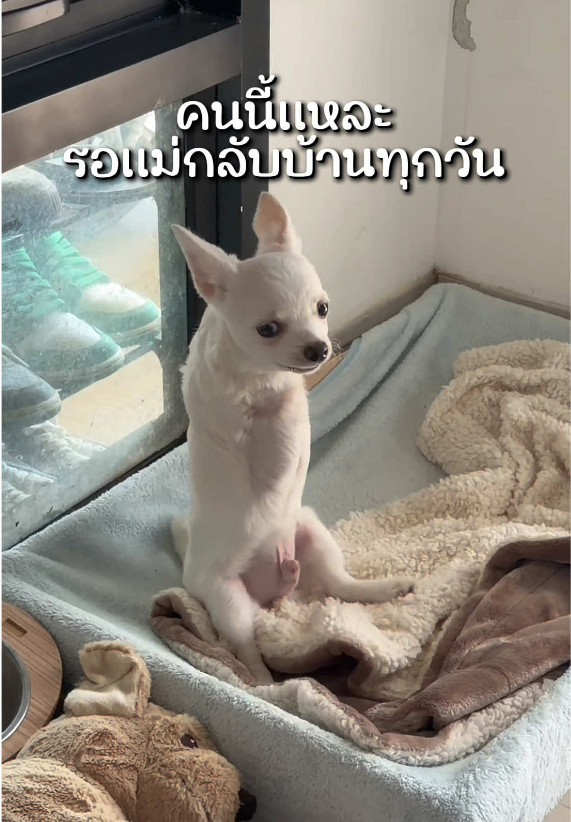 @ผมชื่อเฟิร์บ
