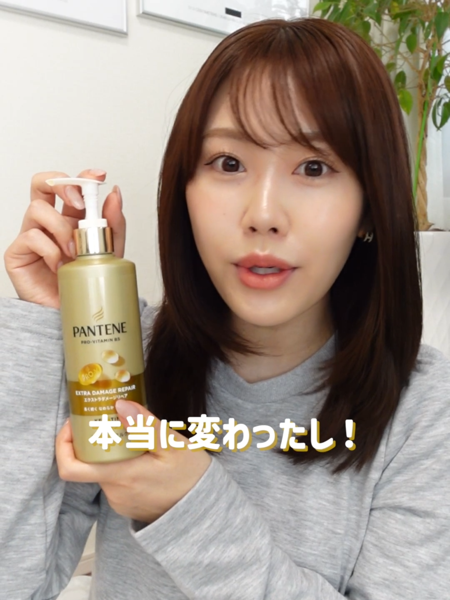 @紫帆 / shiho channel
