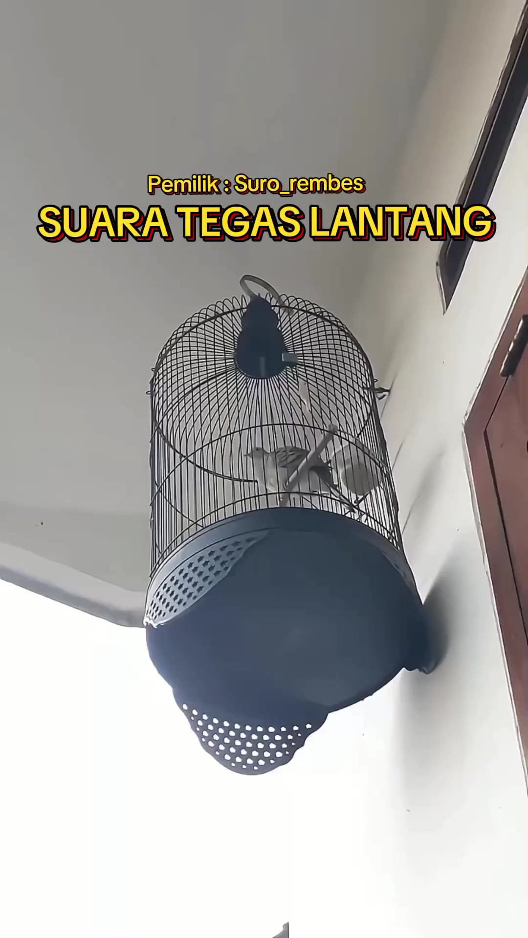 @Bintang Kecil