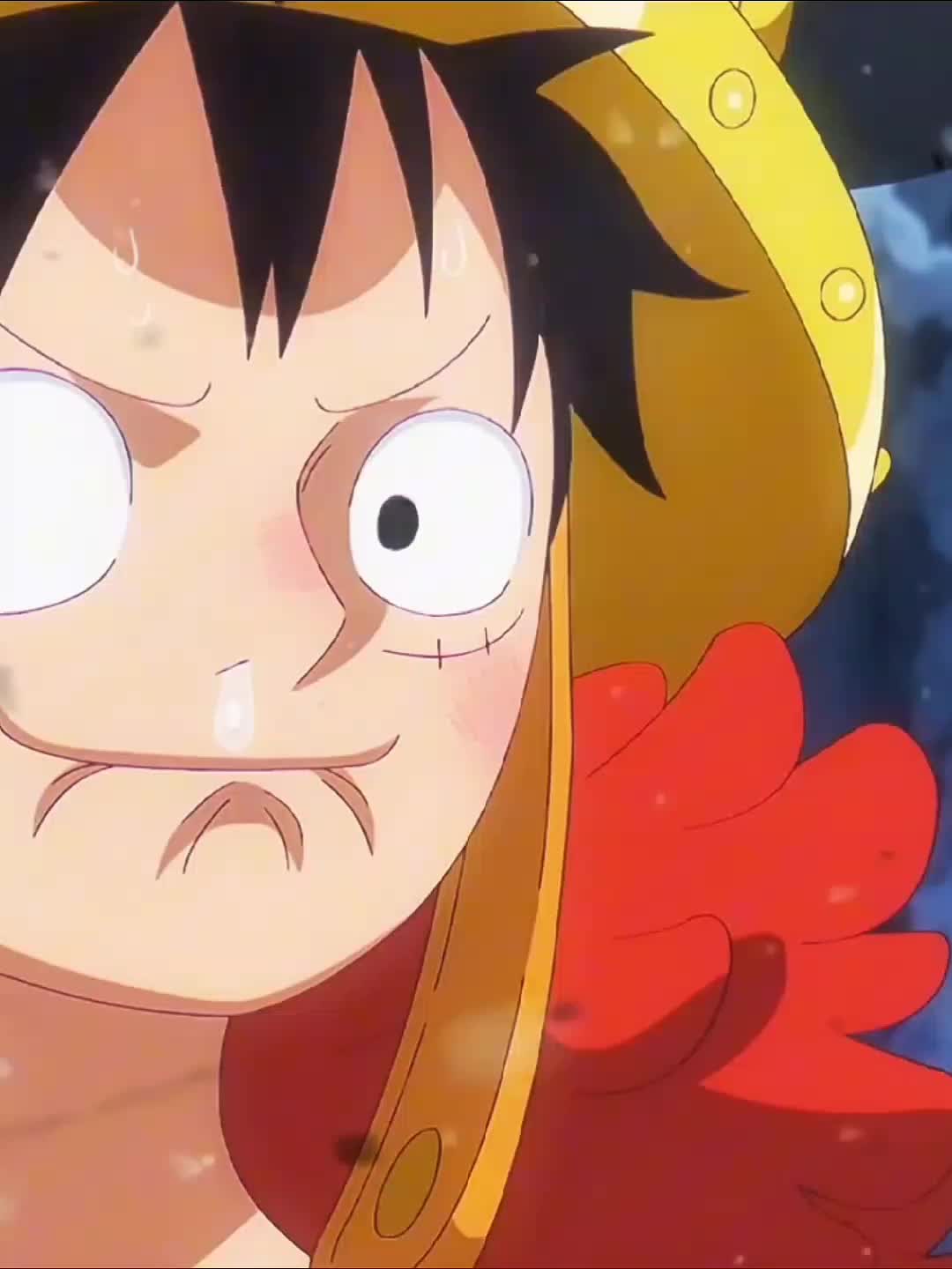 @Roronoa Anime ⚓