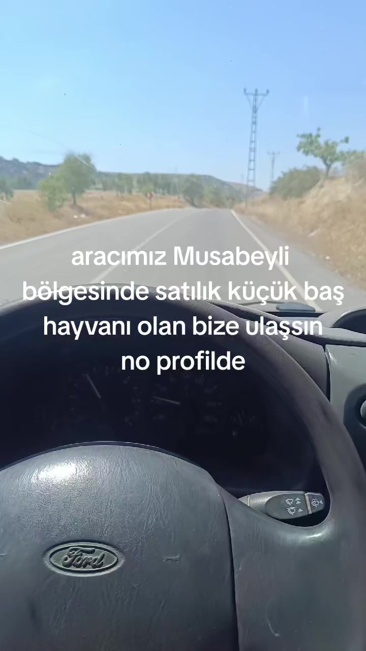@Alp 🇹🇷🤘🐺27
