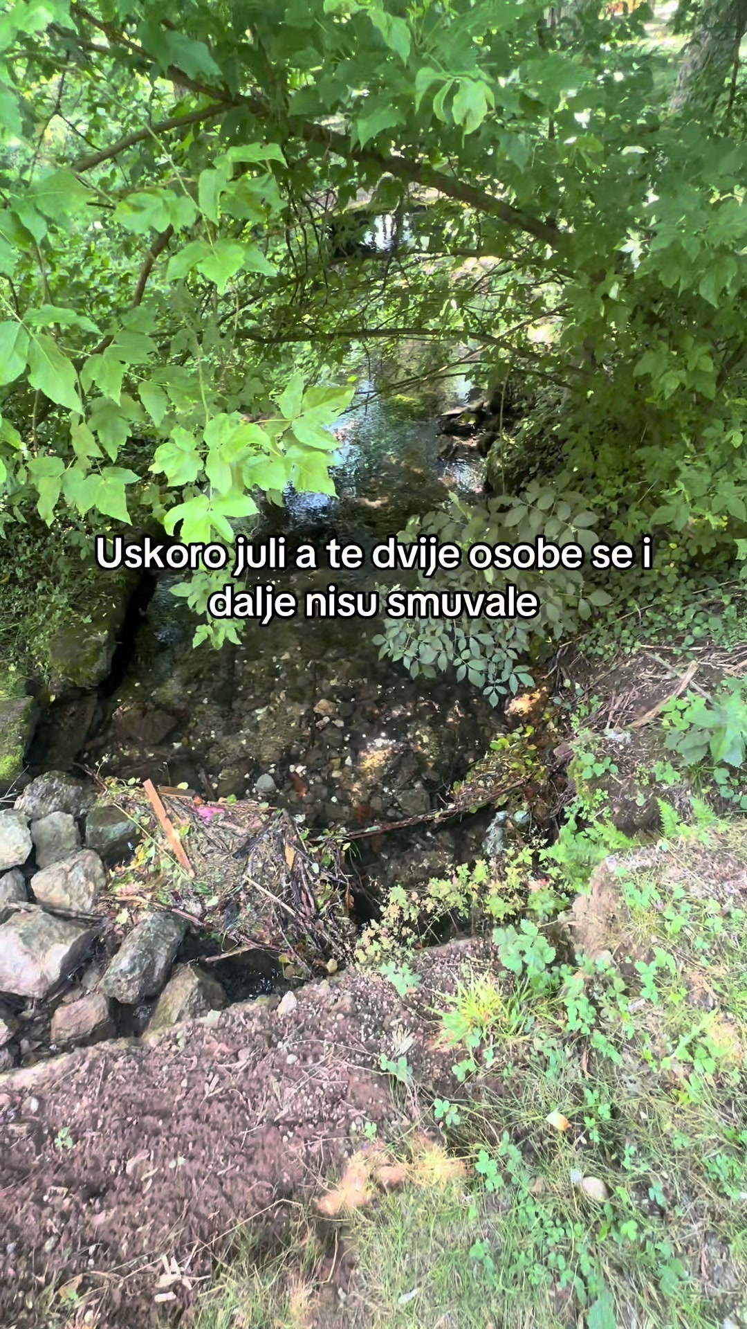 @harunovdje1