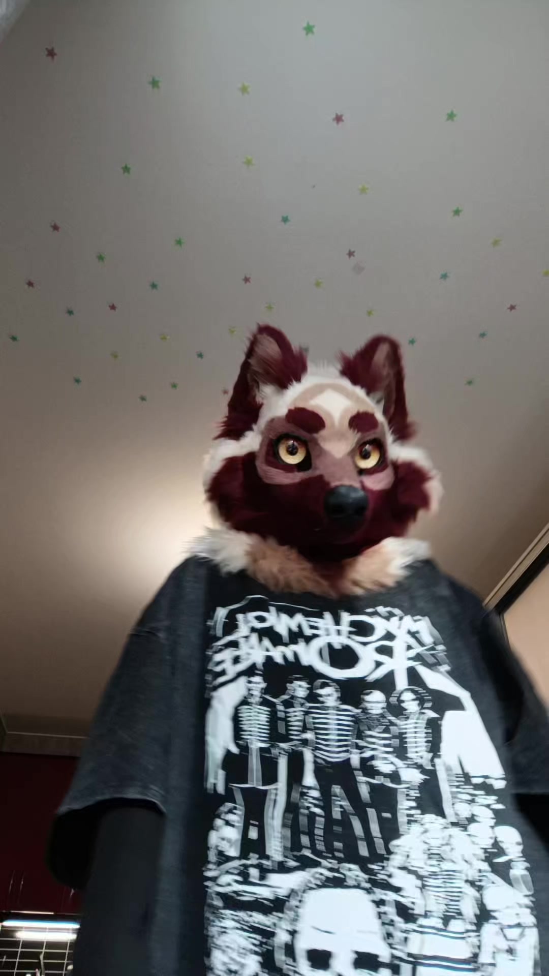 @LeraWolf_workshop