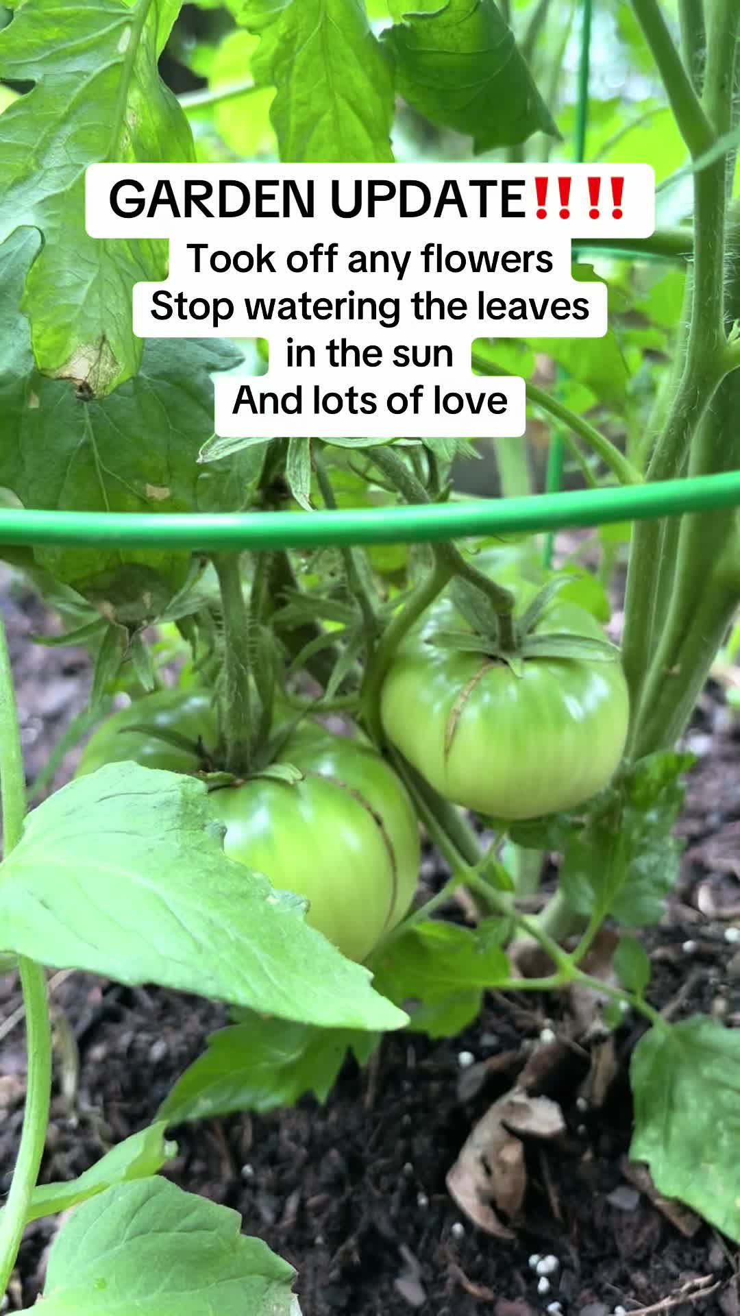 @LotusEmpress❌