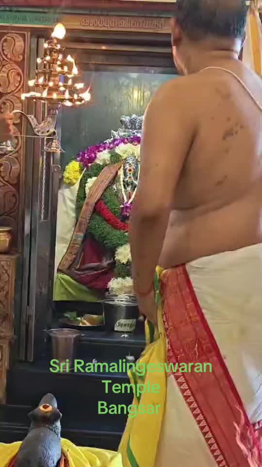 @user382545612451amrita