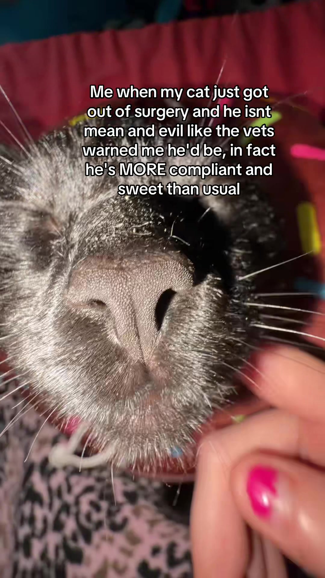 @🌀꧁✵𝓙𝓔𝓝𝓢✵꧂🧚🏼&zwj;♂️