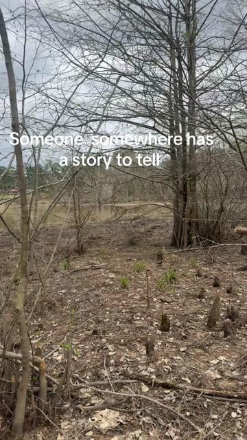 @wyatthodges