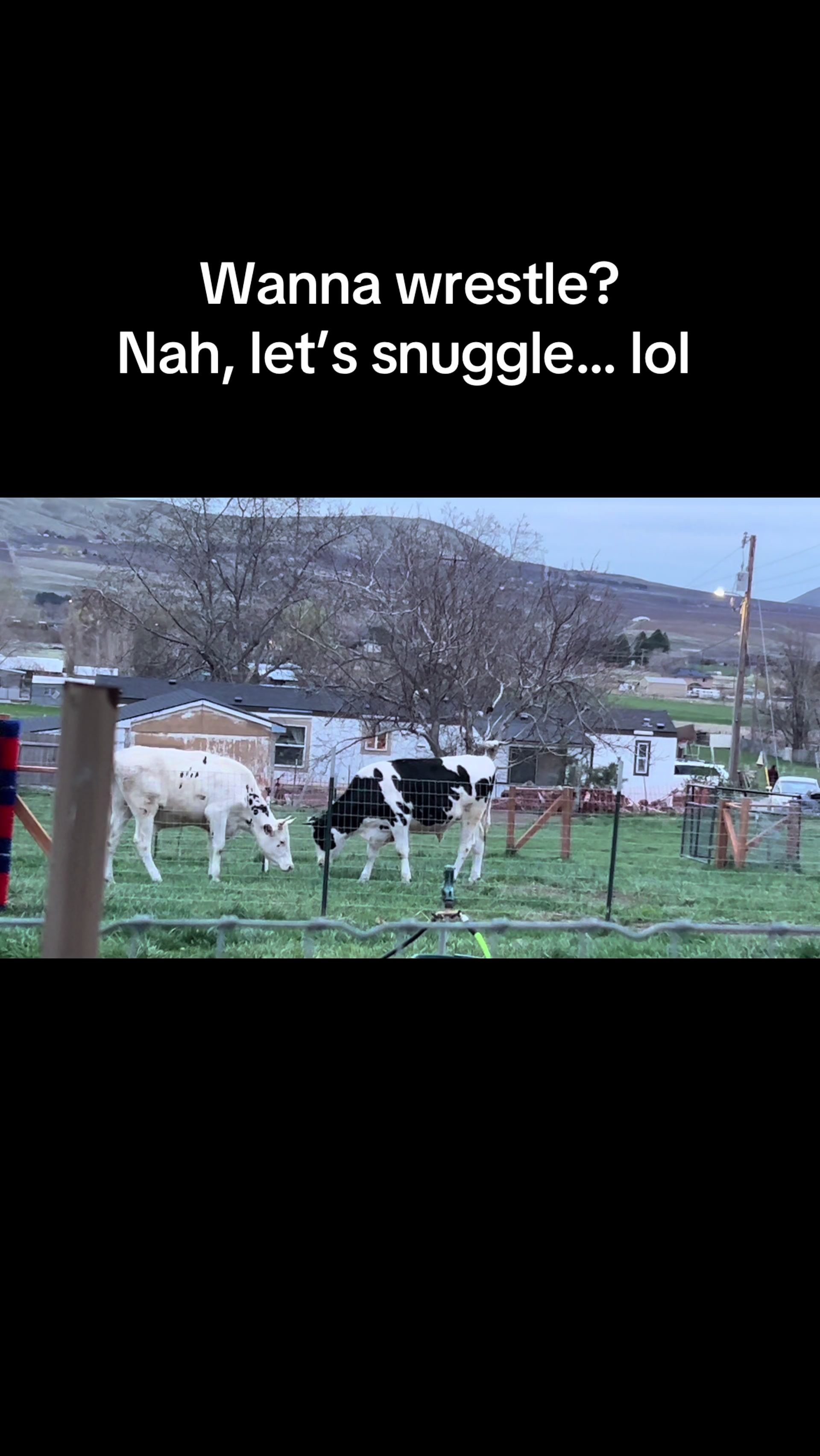@WollamFarm