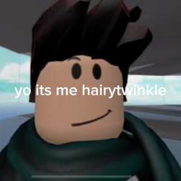@hairytwinkle2929_