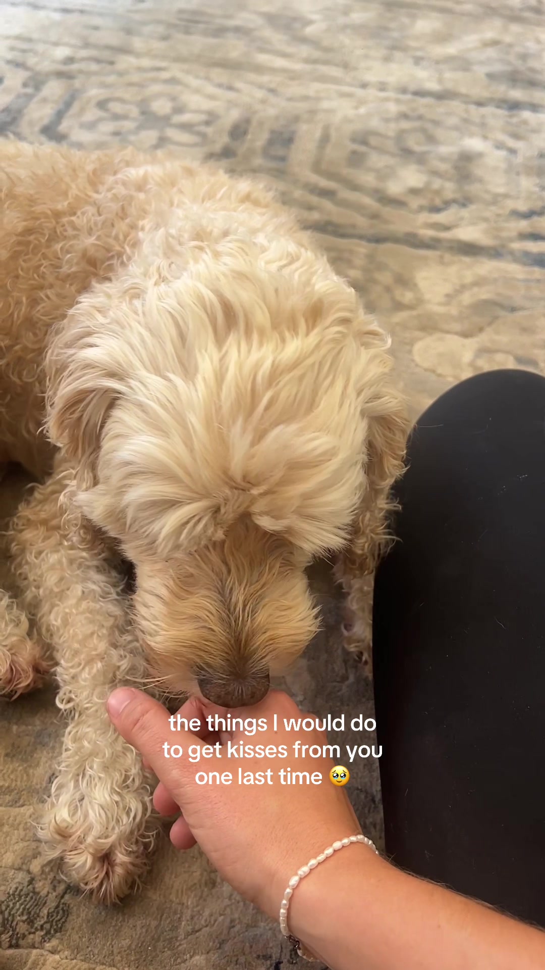 @kiera