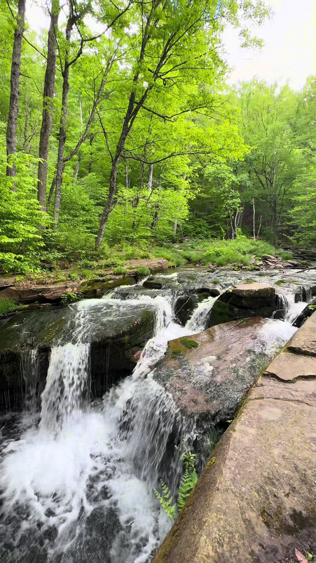@adk__adventures