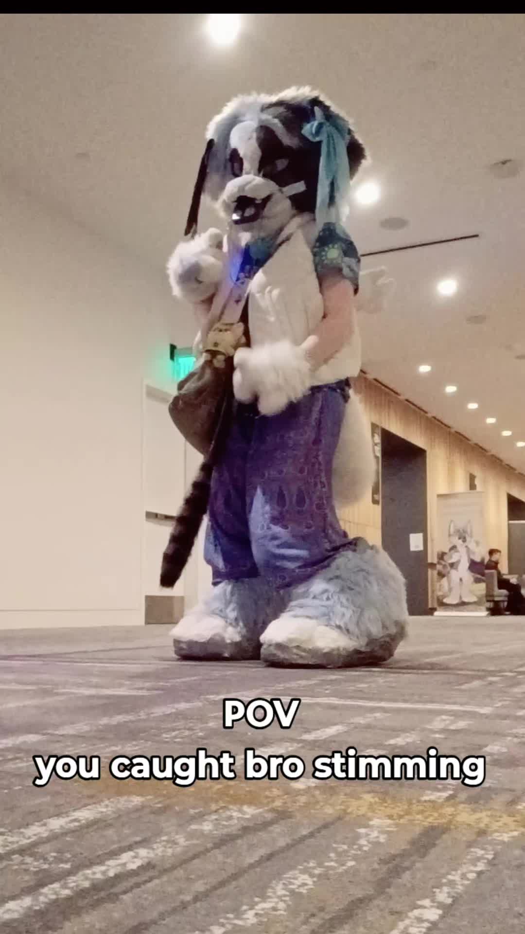@✨️ Blu / Finny💞