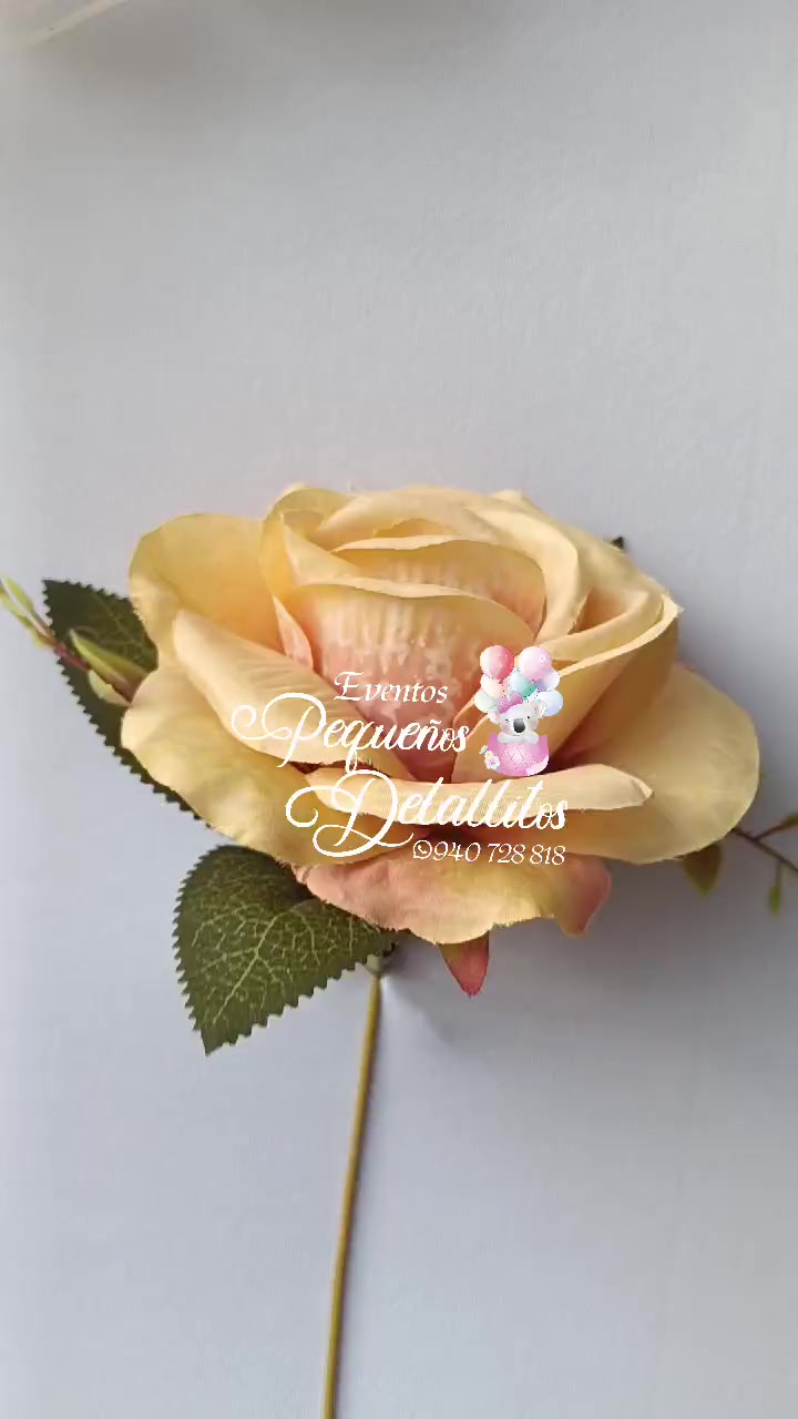 @Eventos Pequeños Detallitos