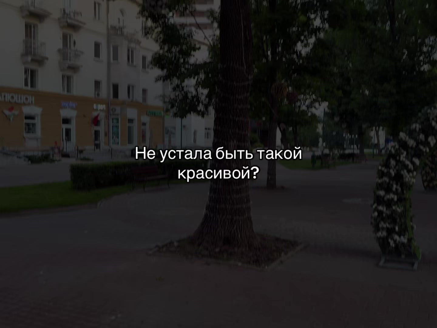 @ᴍᴜsɪᴄ ɪs ᴍʏ ʟɪꜰᴇ