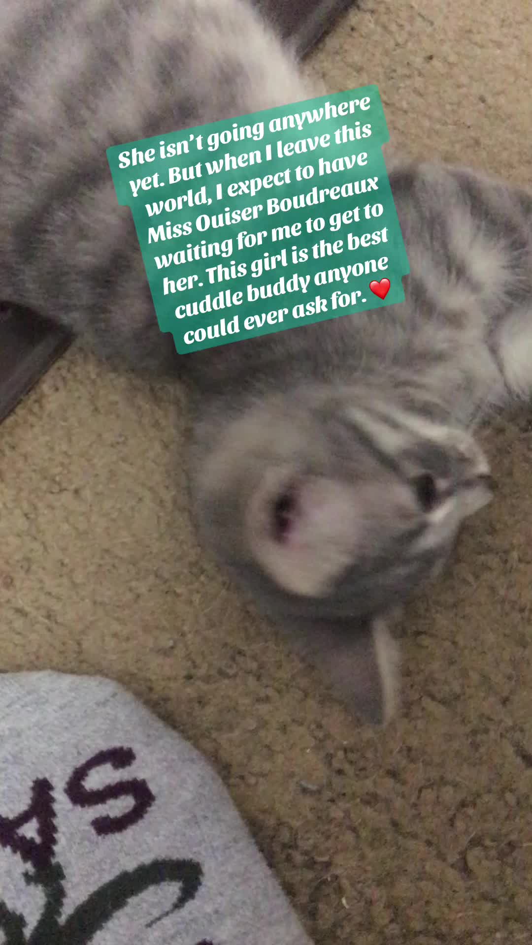 @mamashel