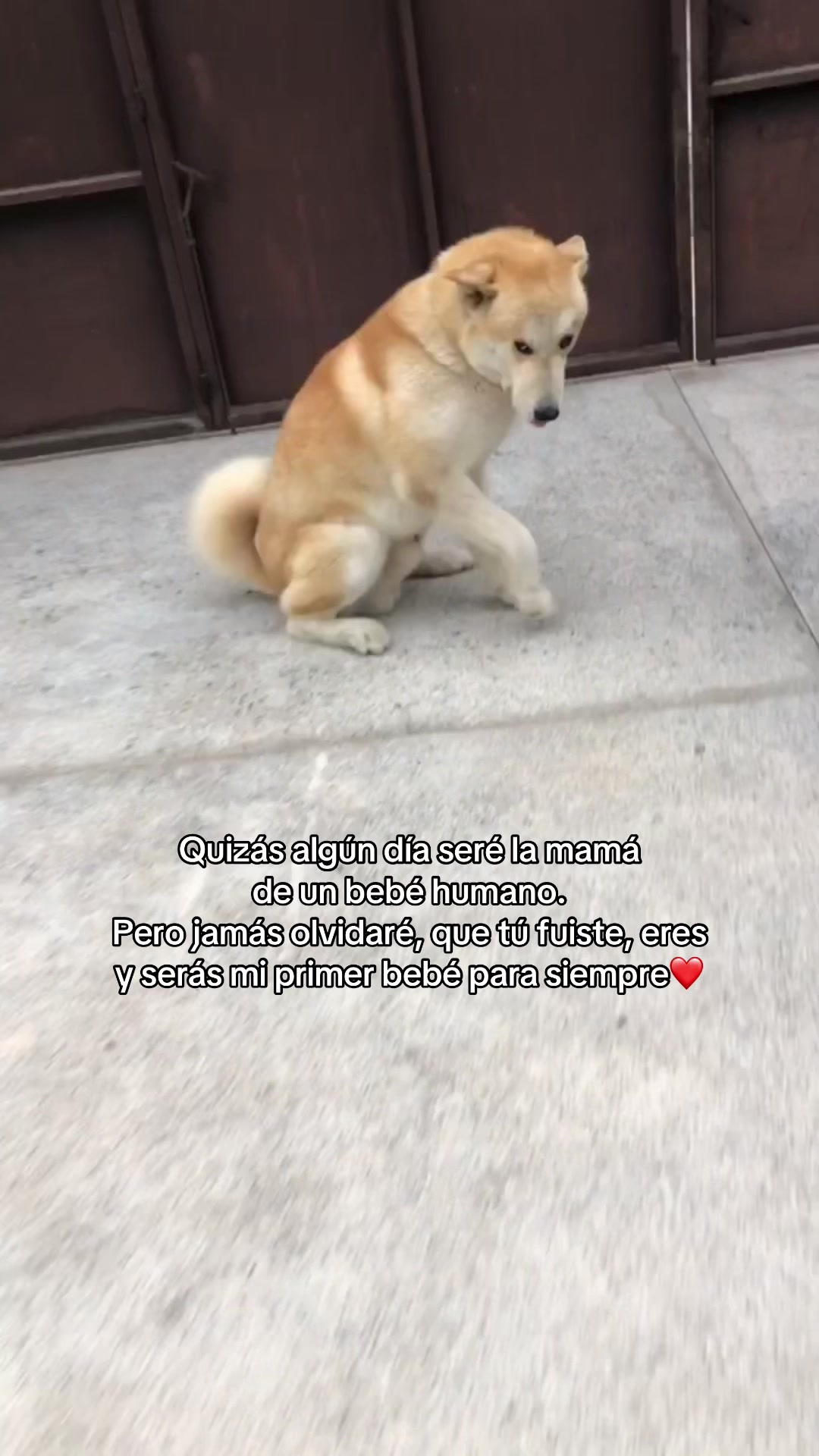 @Celeste