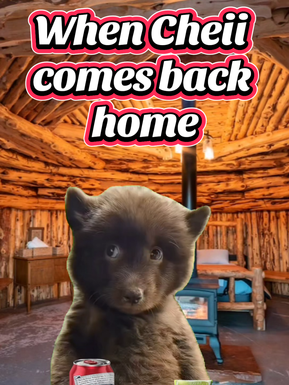 @𝓛𝔂𝓷𝓷 🪷