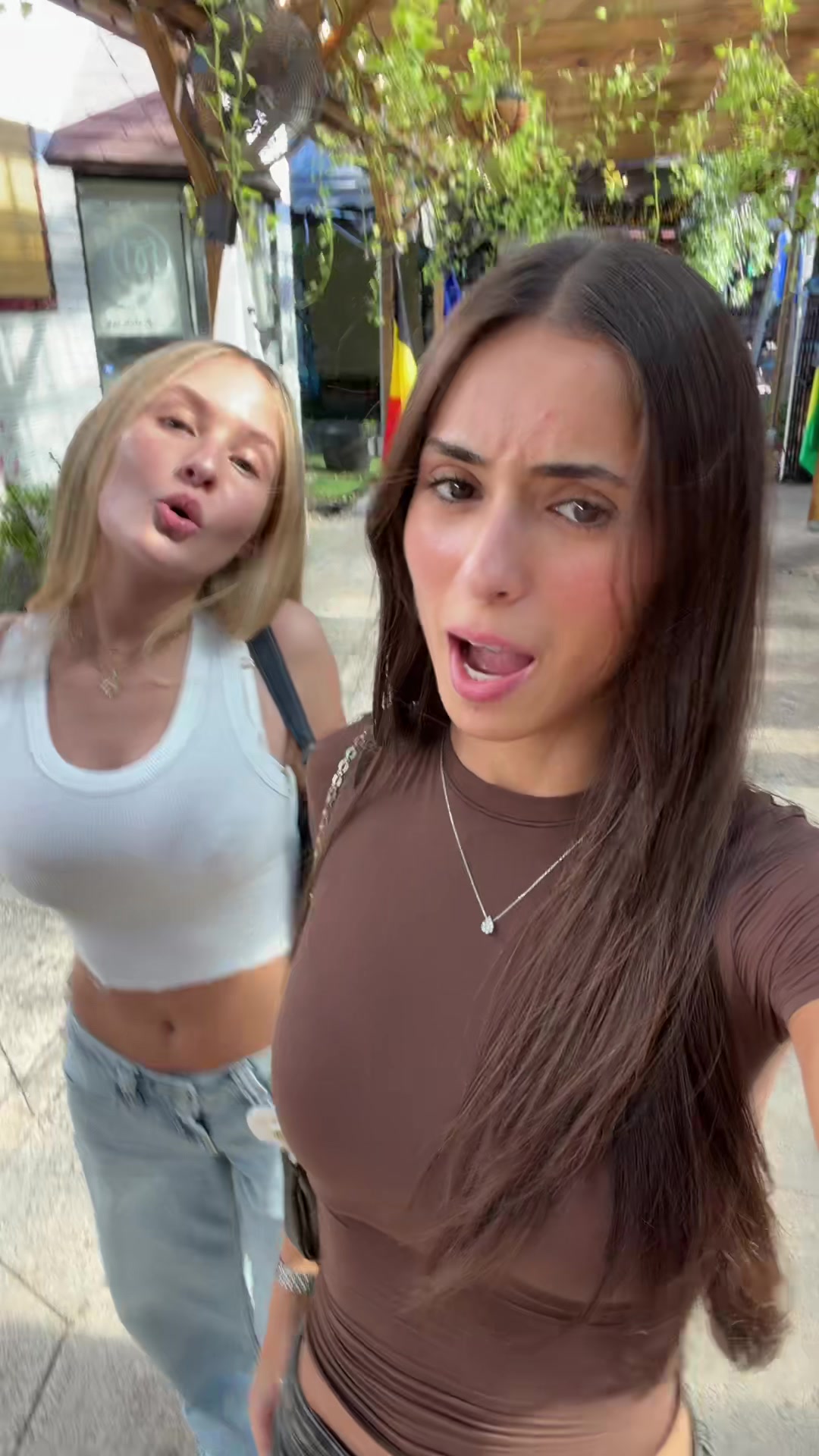 @sapirelbilia